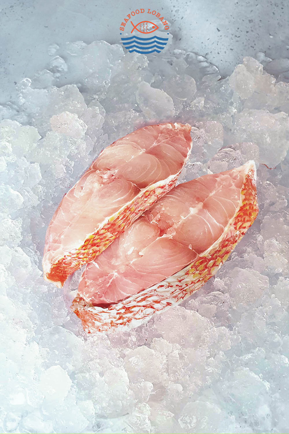 Red Snapper 红鸡 - Image 2