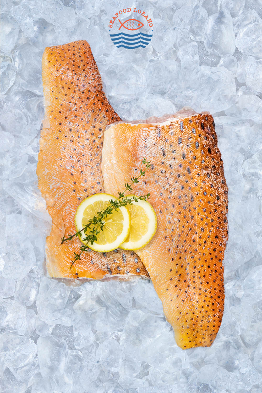 Red Grouper 红石斑鱼 - Image 3