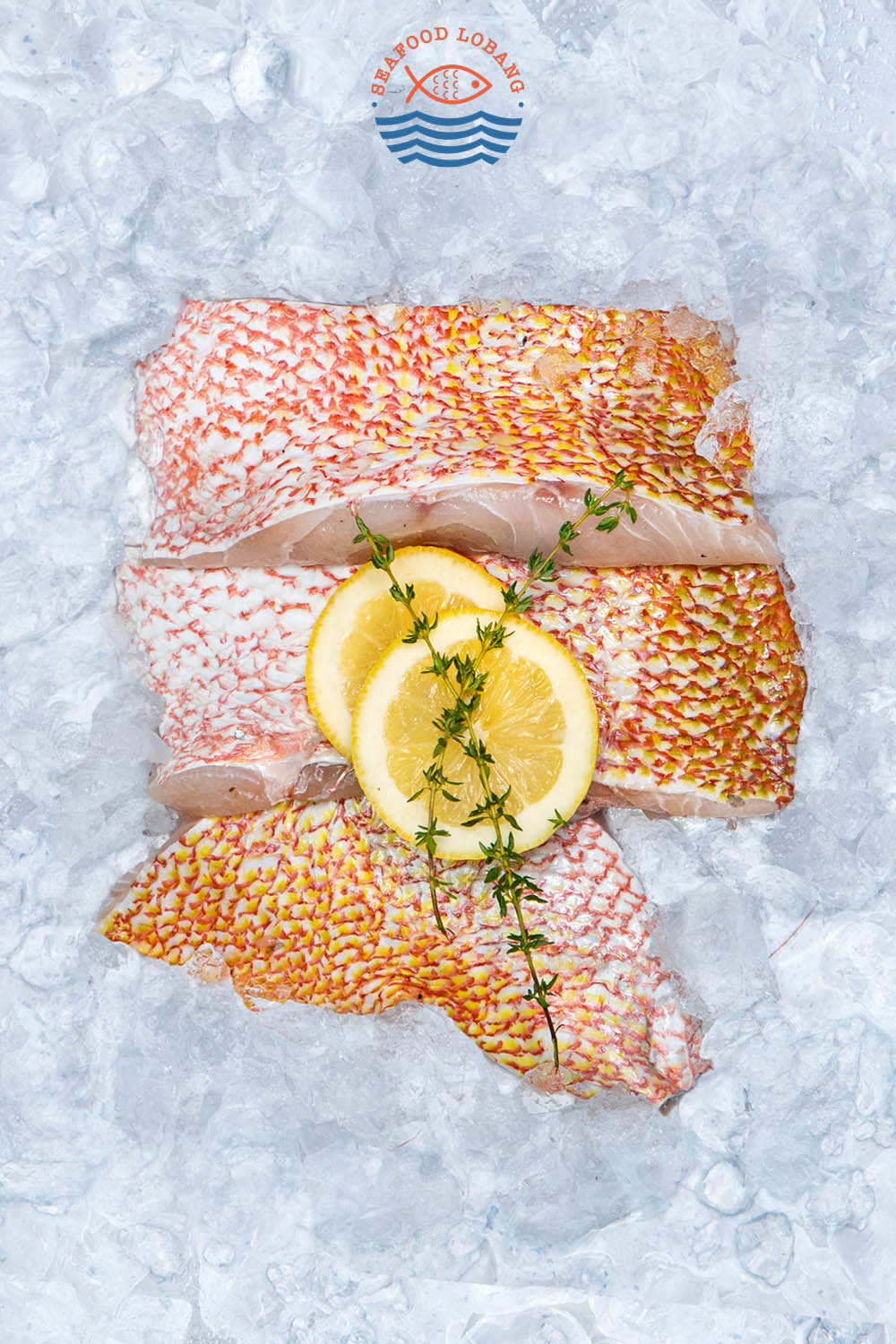 Red Snapper 红鸡 - Image 3